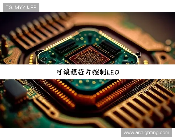 尊龙集团(Z6)在行业中的创新发展与未来战略分析